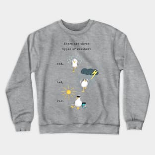 Three Types of Weather Crewneck Sweatshirt